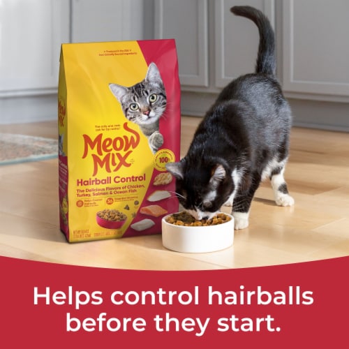 Meow Mix Hairball Control Dry Cat Food 3.15 Pound Bag 3.15 lb QFC
