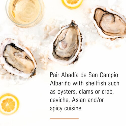 Terras Gauda Albarino Spanish White Wine Perspective: right