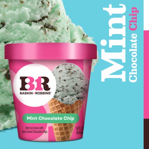 Baskin Robbins® Mint Chocolate Chip Ice Cream Pint Perspective: right