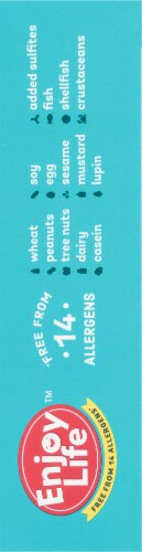 Enjoy Life Gluten Free Chocolate Ricemilk Bar Perspective: right