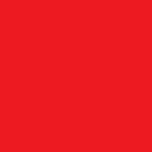 Z-Shade 10 x 10 Foot Push Button Lock Angled Leg Instant Shade Canopy Tent, Red Perspective: right