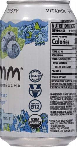 Humm® Blueberry Mint Probiotic Kombucha Single Can Perspective: right