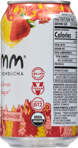 Humm® Strawberry Lemonade Probiotic Kombucha Single Can Perspective: right