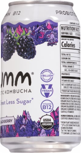 Humm® Blackberry Probiotic Kombucha Single Can Perspective: right