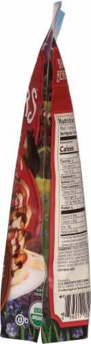 Birch Benders Organic Pancake & Waffle Chocolate Chip Mix Perspective: right