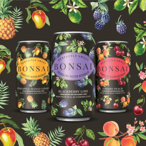 Bonsai Mango Pineapple Ginger Sweetened Sparkling Water Cans Perspective: right