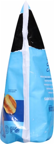 Wilde Sea Salt & Vinegar Protein Chips Perspective: right