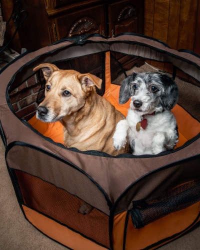 Travel dog pen on sale
