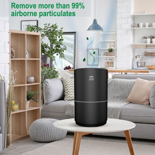 WBM International Air Purifier - Black Perspective: right