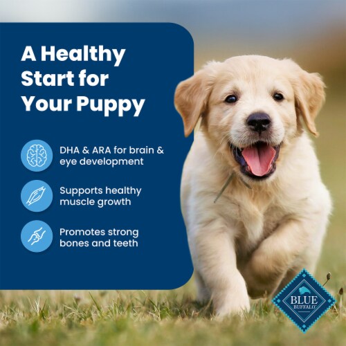 Blue Buffalo Life Protection Formula Natural Puppy Dry Dog Food Chicken & Brown Rice Perspective: right