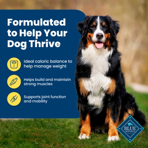 Blue Buffalo Life Protection Formula Healthy Weight Adult Dry Dog Food Chicken & Brown Rice Perspective: right