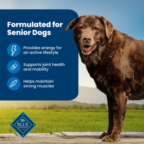 Blue Buffalo Life Protection Formula Natural Chicken and Brown Rice Senior Dry Dog Food Perspective: right