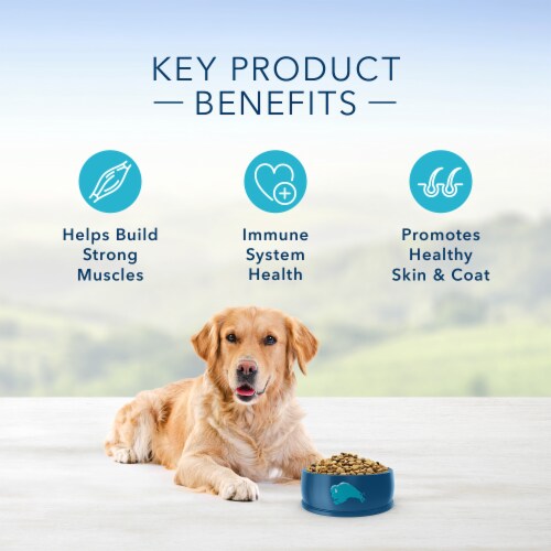 Blue Buffalo Life Protection Formula Lamb & Brown Rice Recipe Natural Adult Dry Dog Food Perspective: right