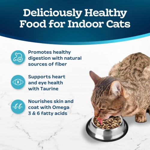 Blue Buffalo Tastefuls Natural Chicken and Brown Rice Indoor Adult Dry Cat Food Perspective: right