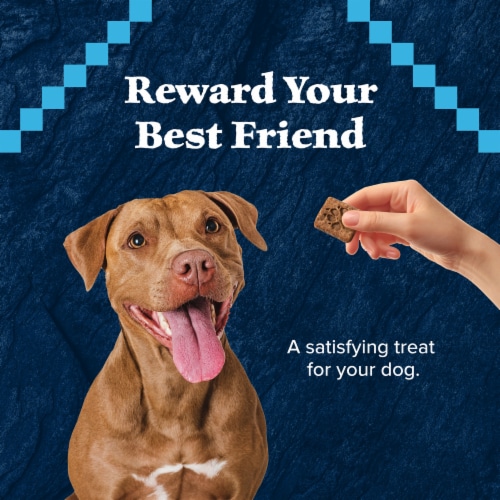 Blue Buffalo Wilderness Grain-Free Trail Treats Crunchy Dog Treats Biscuits Turkey Perspective: right