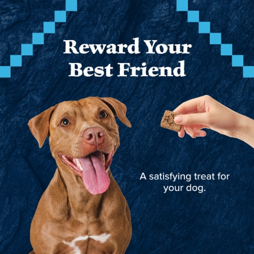 Blue Buffalo Wilderness Grain-Free Trail Treats Crunchy Dog Treats Biscuits Salmon Perspective: right