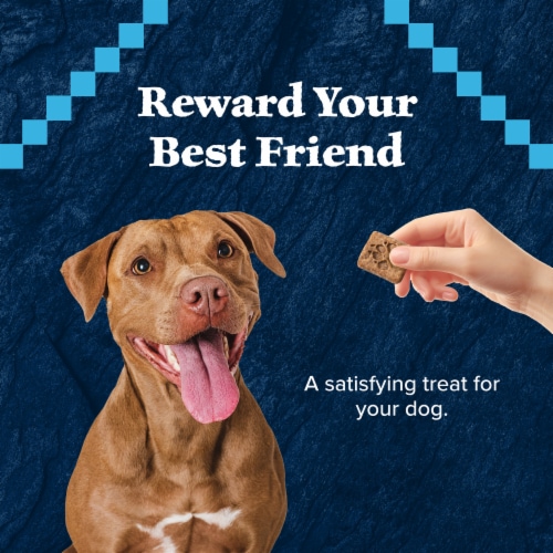 Blue Buffalo Wilderness Grain-Free Trail Treats Crunchy Dog Treats Biscuits Duck Perspective: right