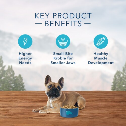 Blue Buffalo Wilderness High Protein Natural Chicken Adult Small Breed Dry Dog Food Perspective: right