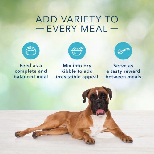 Blue Buffalo Freedom Grain-Free Chicken Recipe Adult Dog Food Perspective: right