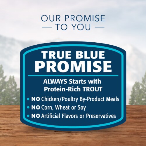 Blue Wilderness Wild Delights Chicken & Trout in Gravy Wet Cat Food Perspective: right