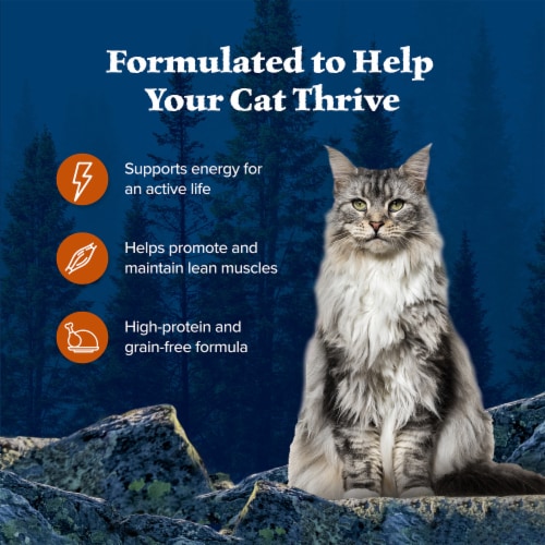 Blue Buffalo Wilderness Wild Delights High-Protein Adult Cat Morsels in Gravy Chicken & Turkey Perspective: right