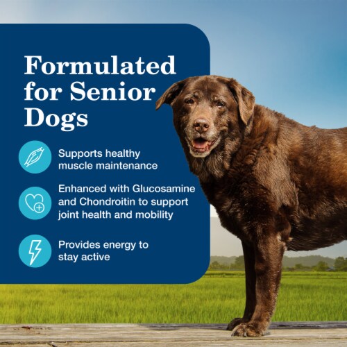 Blue™ Homestyle Recipe Chicken Dinner Flavor Senior Wet Dog Food Perspective: right