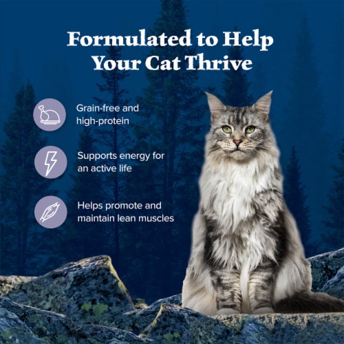Blue Buffalo Wilderness High-Protein Grain-Free Adult Pate Wet Cat Food Chicken Perspective: right