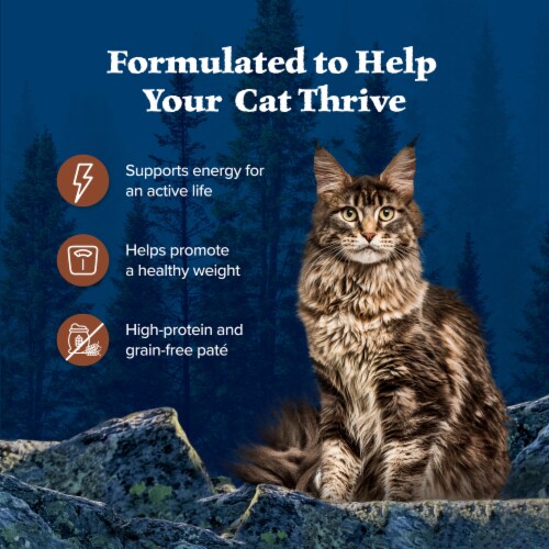 Blue Buffalo Wilderness High-Protein Grain-Free Adult Pate Wet Cat Food Turkey Perspective: right