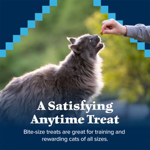 Blue Buffalo Wilderness Chicken & Turkey Recipe Soft-Moist Cat Treats Perspective: right