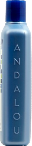 Andalou Naturals Argan Stem Cell Age Defying Treatment Shampoo Perspective: right