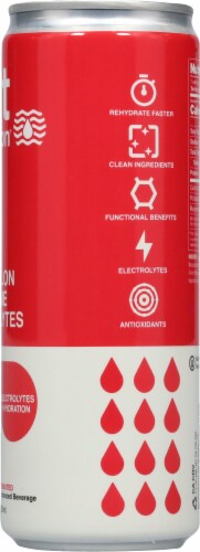 Wet Hydration® Watermelon Lime Electrolyte Beverage Perspective: right
