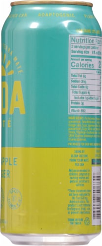 Vida Mate Pineapple Ginger Yerba Mate Tea Perspective: right