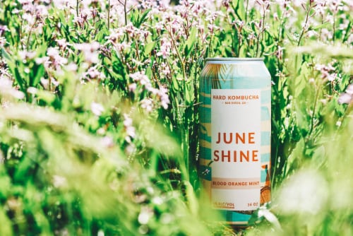 JuneShine Blood Orange Mint Hard Kombucha Single Can Perspective: right