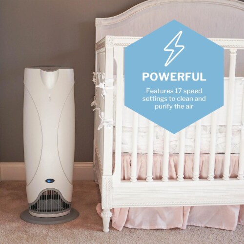 RxAir Air Purifier RXAIR 400 1 ct Kroger