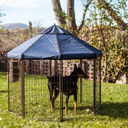 Advantek Dog Kennel Pet Gazebo 5 Foot Indoor Outdoor Crate with Umbrella Roof 1 Piece Kroger