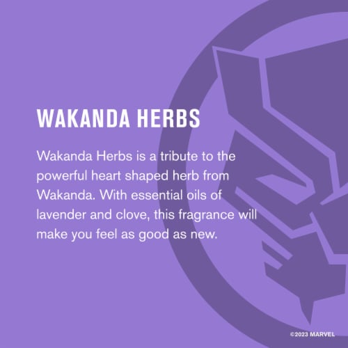 Every Man Jack Mens Deodorant Stick Marvel Black Panther Wakanda Herbs Aluminum-Free Perspective: right