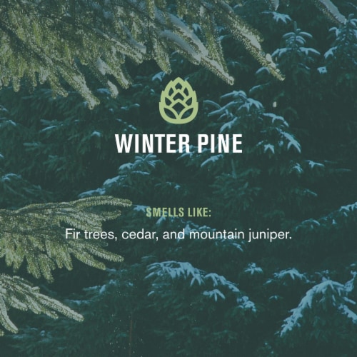 Every Man Jack Polar Plunge Bar Soap, Wintry Pine Perspective: right