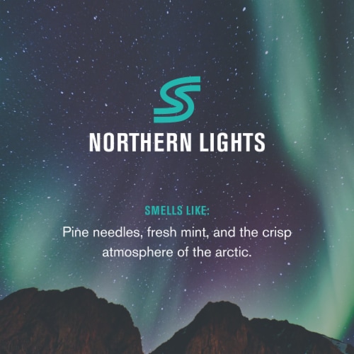 Every Man Jack Polar Plunge Bar Soap, Northern Lights Perspective: right