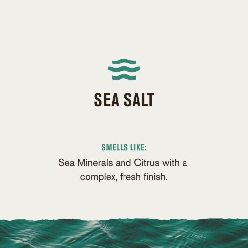 Every Man Jack Sea Salt Holiday Gift Set for Men - Body Wash, Shampoo, Deodorant, and Dopp Kit Perspective: right