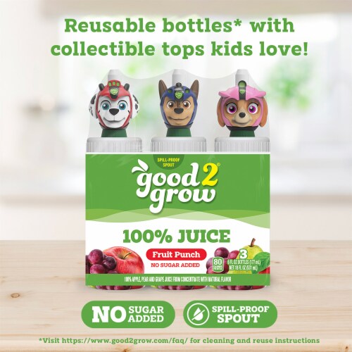 good2grow® 100% Fruit Punch Assorted Characters Juice Perspective: right