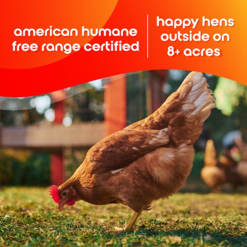 Happy Egg Co.® Free Range Large Brown Eggs Perspective: right
