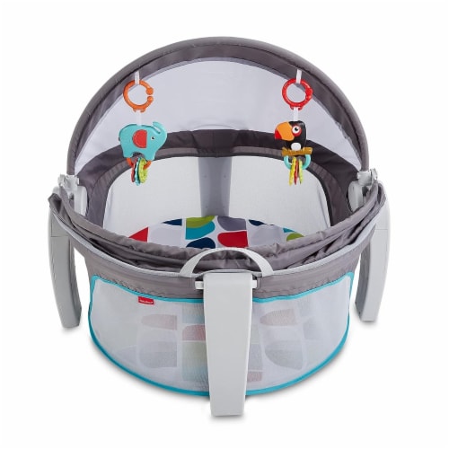 Fisher price portable bassinet on sale