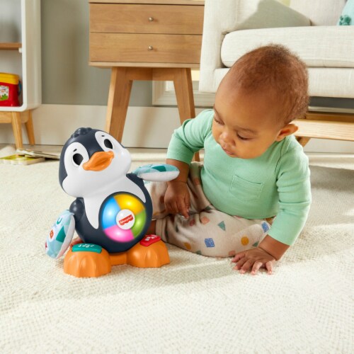 Fisher-Price® Linkimals™ Light-Up & Learn Owl, 1 ct - Foods Co.