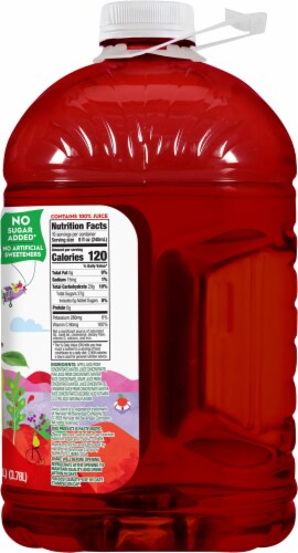 Juicy Juice® Fruit Punch 100% Juice Perspective: right