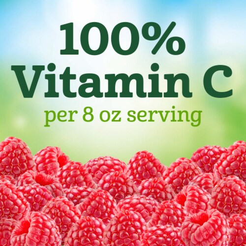 Juicy Juice Berry Juice 100% Fruit Juice, 64 fl oz - Harris