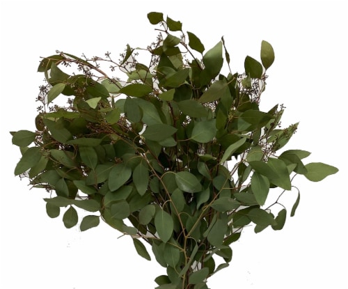 Eucalyptus Assortment Perspective: right