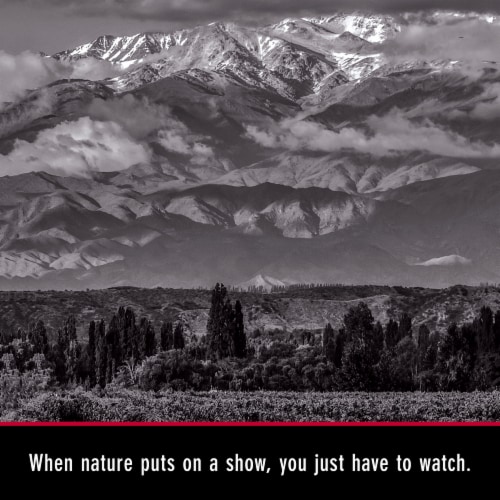 The Show Organic Malbec California Red Wine Perspective: right