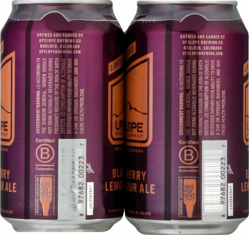 Upslope Brewing Co. Blackberry Lemon Sour Ale Craft Beer Perspective: right