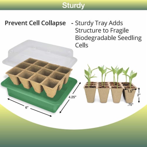 Biodegradable Plant Pots