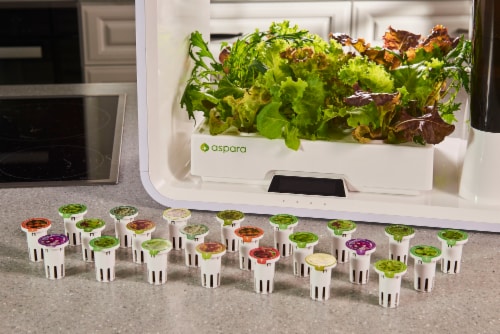 aspara 16-Hole Removable Reservoir Hydroponic Grower - White Perspective: right